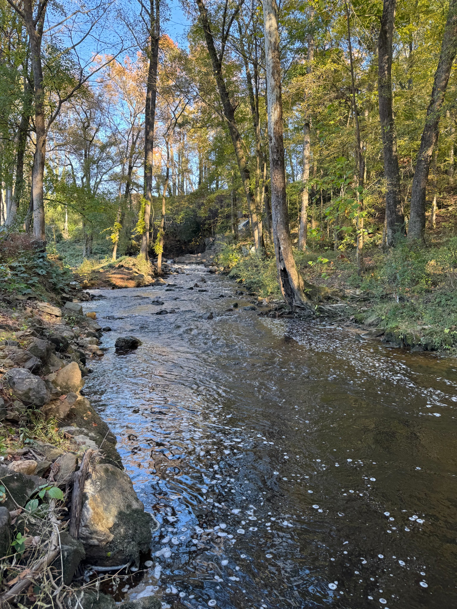Great Falls Mill image 11