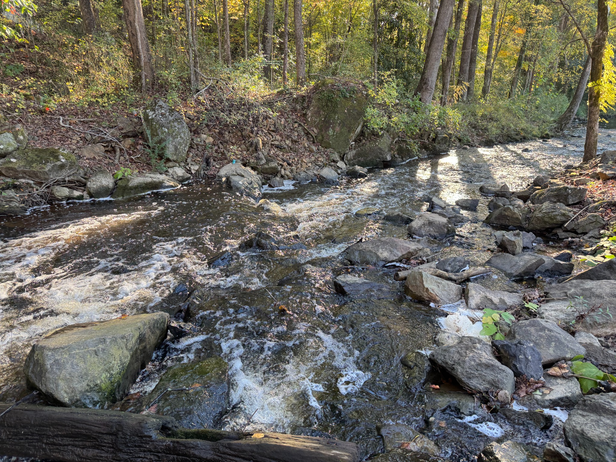 Great Falls Mill image 12
