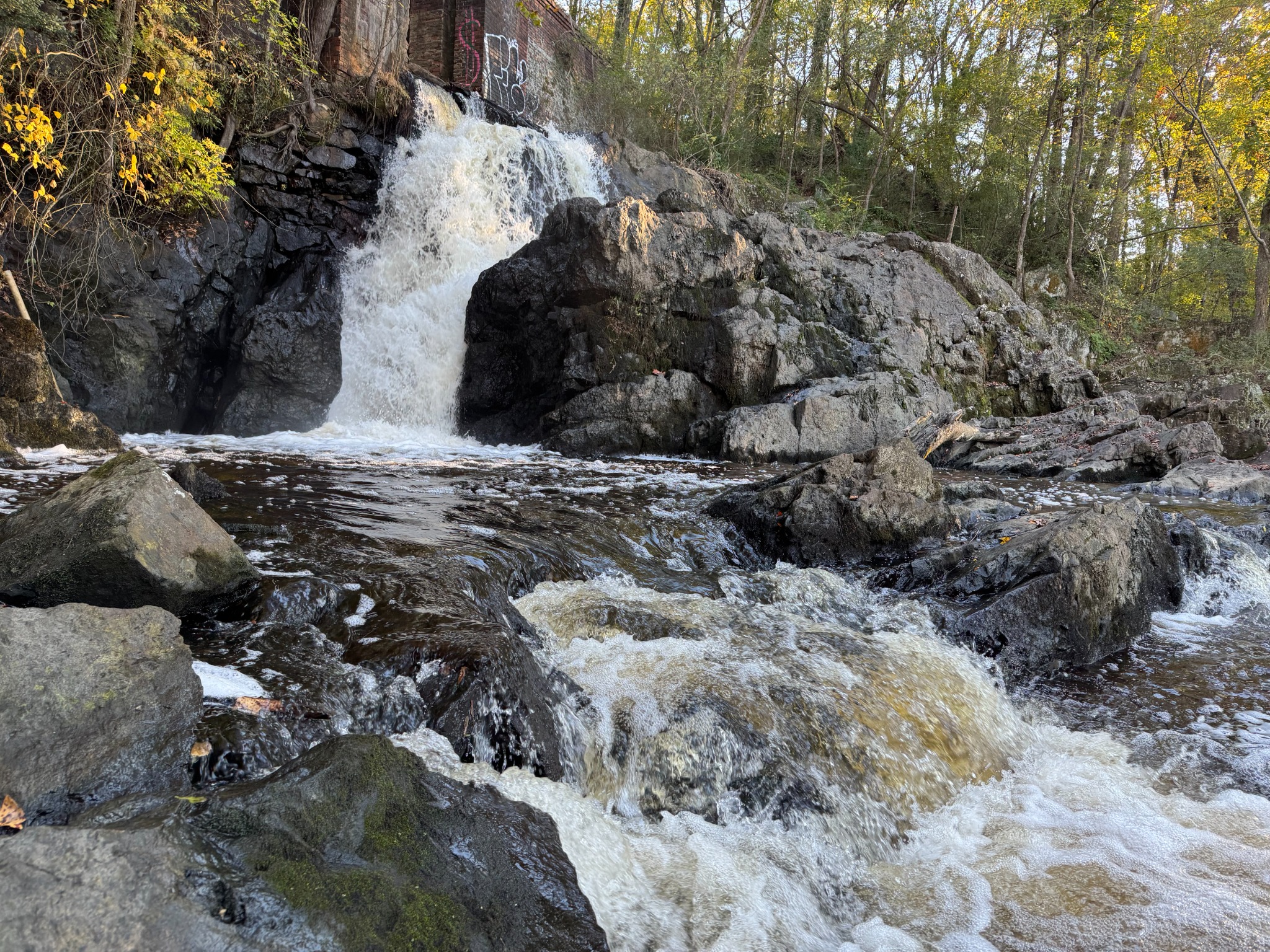 Great Falls Mill image 13