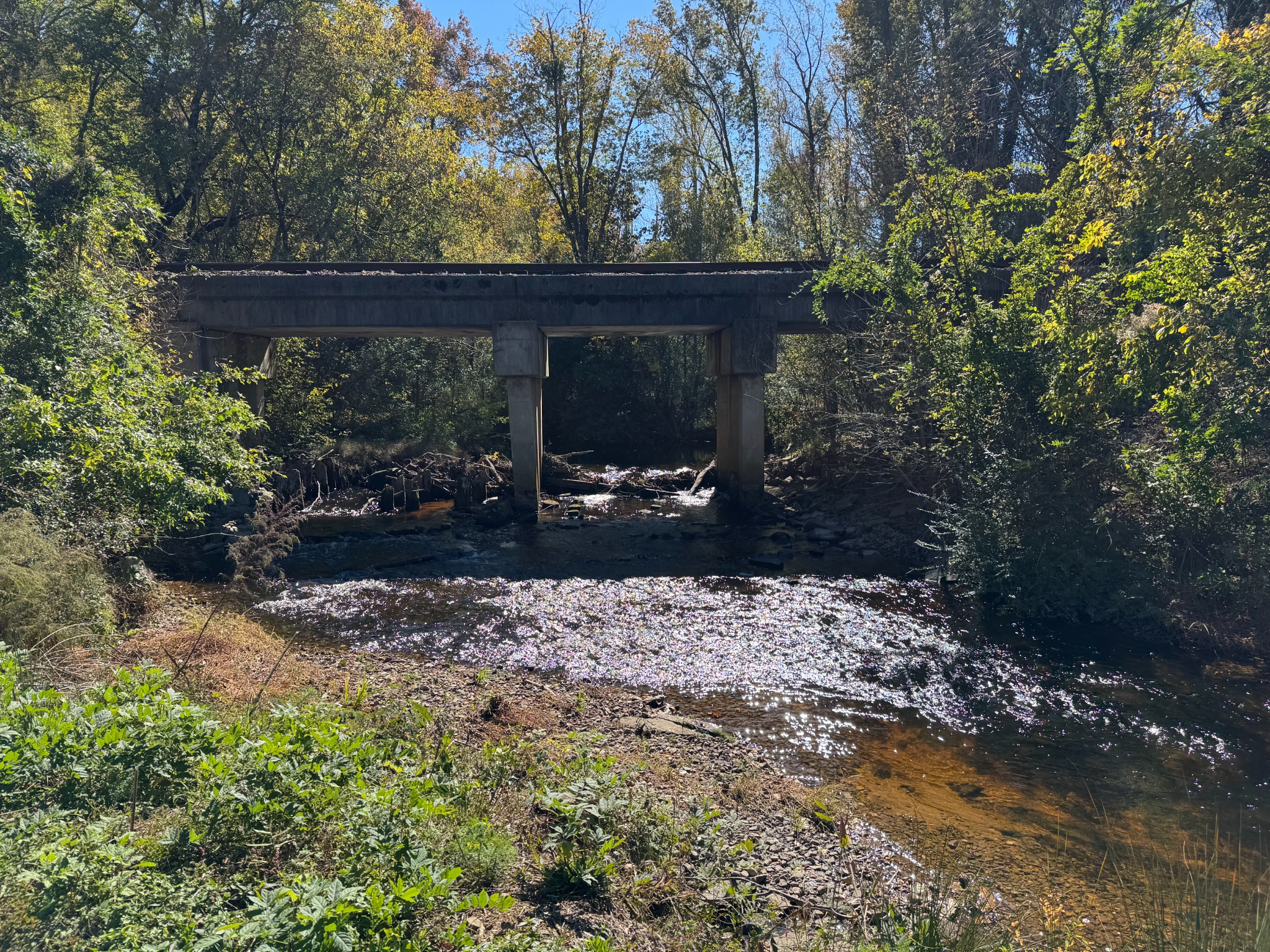 Great Falls Mill image 8